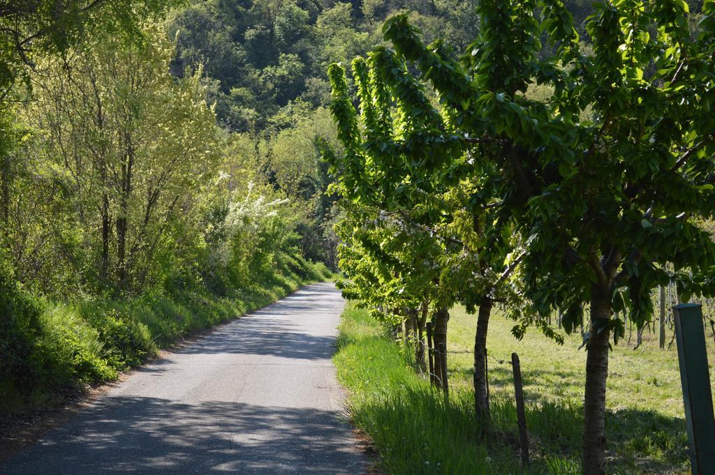 Agriturismo Borgo Valfredda Βίλα Mezzane di Sotto Εξωτερικό φωτογραφία