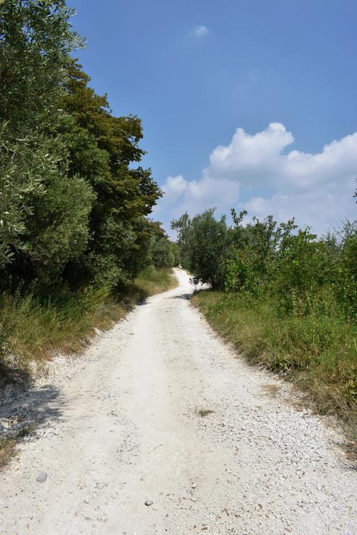 Agriturismo Borgo Valfredda Βίλα Mezzane di Sotto Εξωτερικό φωτογραφία